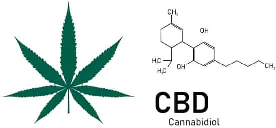 cannabidiol